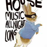 Illustration of a rabbit wearing a mask with text 'HOUSE MUSIC ALL NIGHT LONG' on a white background