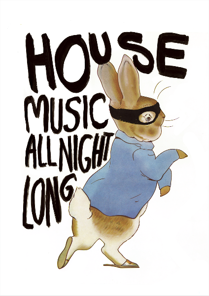 Illustration of a rabbit wearing a mask with text 'HOUSE MUSIC ALL NIGHT LONG' on a white background